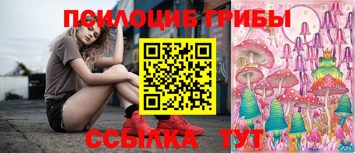 Галлюциногенные грибы MAGIC MUSHROOMS Дмитров